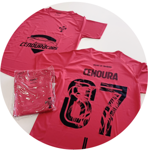 T-shirt-desporto.webp